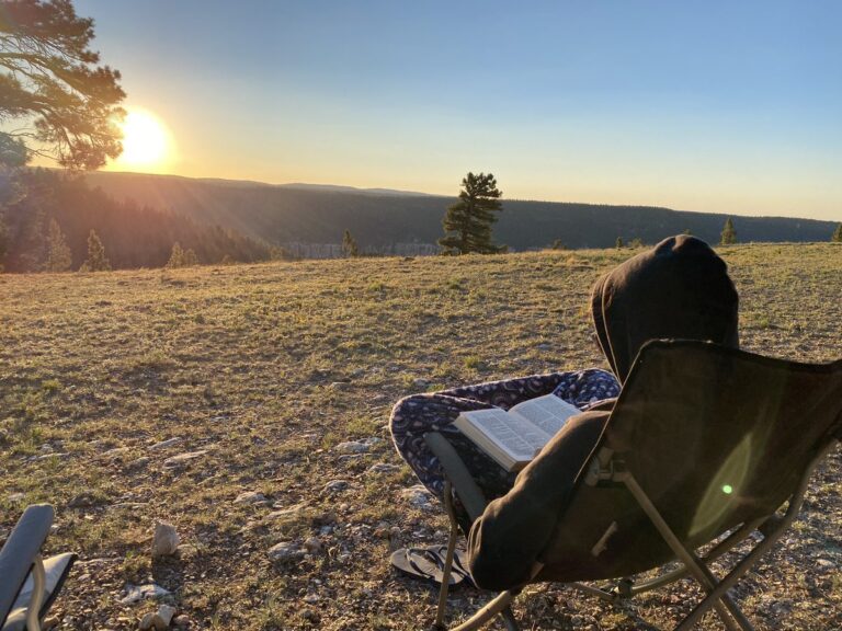 Beautiful-reading-spot-by-@ksuding-PatinsIcam-768x576