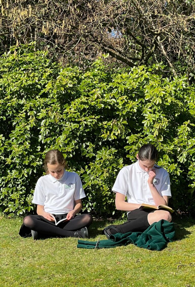 EvaK0obWgAIZiwr-768x1133