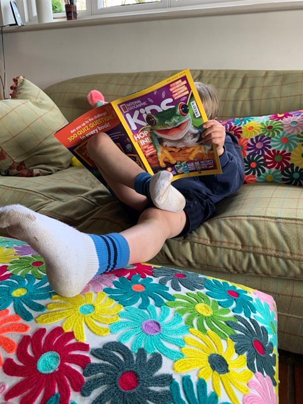 ba99e1d1-9235-4b3b-8ace-9f9bb1b27102