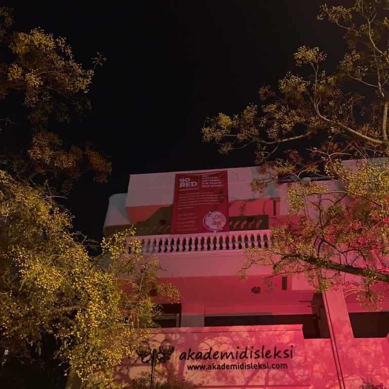 Akademi-Dyslexia-Turkey-Image-4_24_11zon