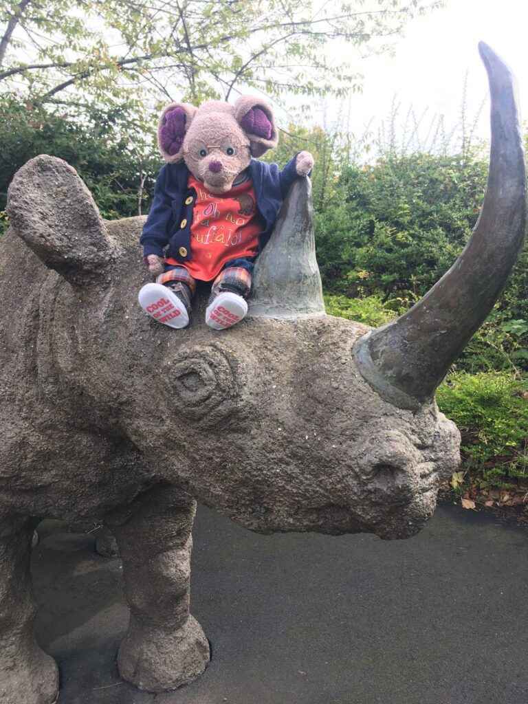 Albany-Mouse-from-the-Great-North-Museum-@GNM_Hancok-UK--768x1024_26_11zon