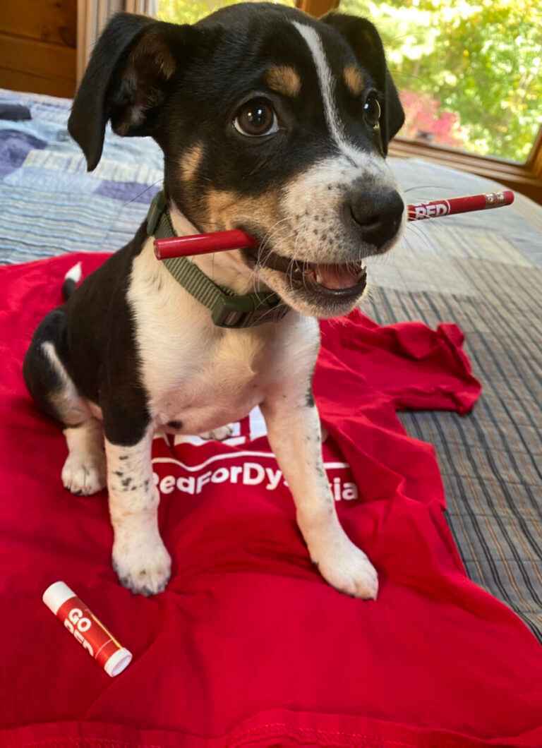 Betty-Boo-Image-by-Kelli-Suding-@ksuding-1-768x1060_28_11zon