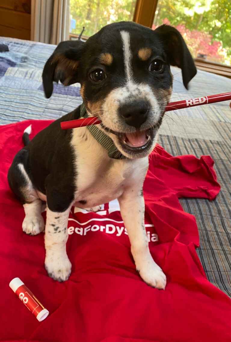 Betty-Boo-Image-by-Kelli-Suding-@ksuding-2_29_11zon