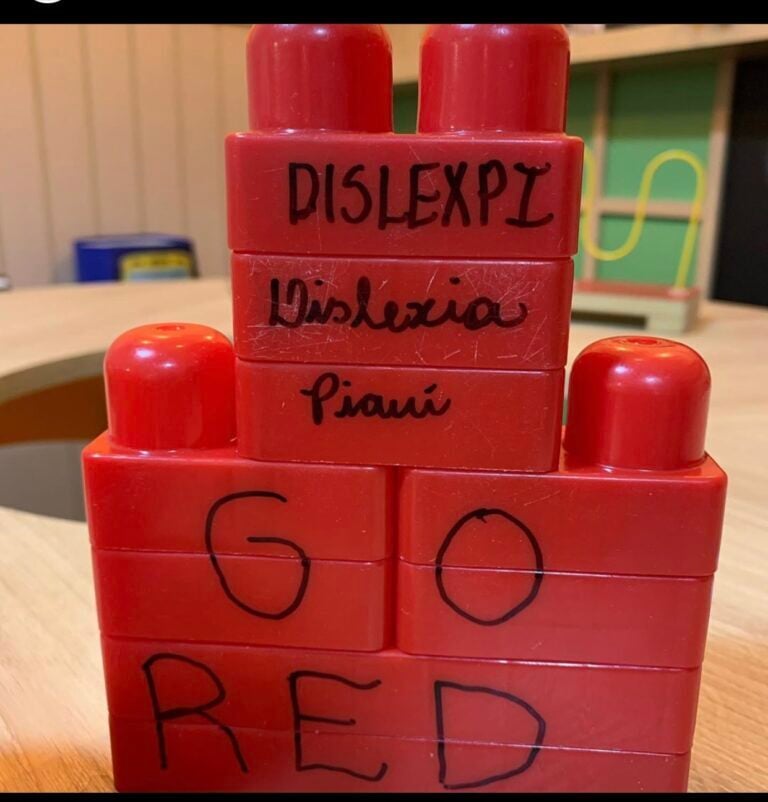 DisleXPi-Brazil-Image-1-768x802