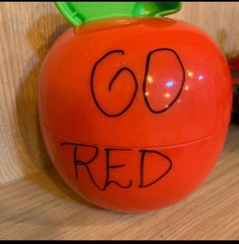 DisleXPi-Brazil-Image-2-768x786