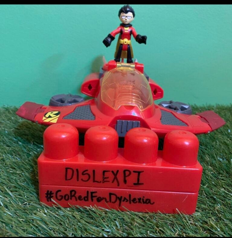 DisleXPi-Brazil-Image-3-768x787