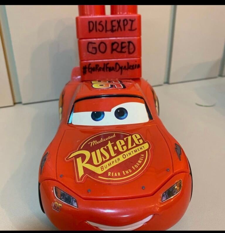 DisleXPi-Brazil-Image-4-768x794