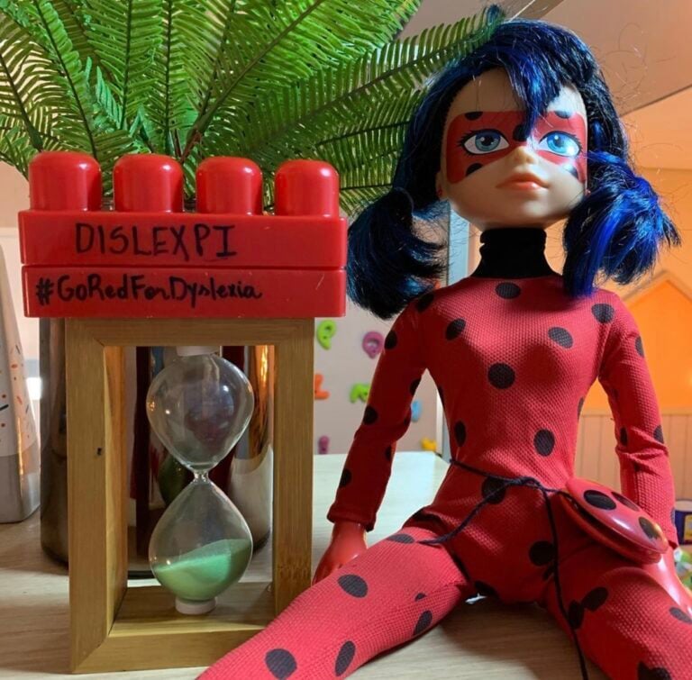 DisleXPi-Brazil-Image-5-768x755