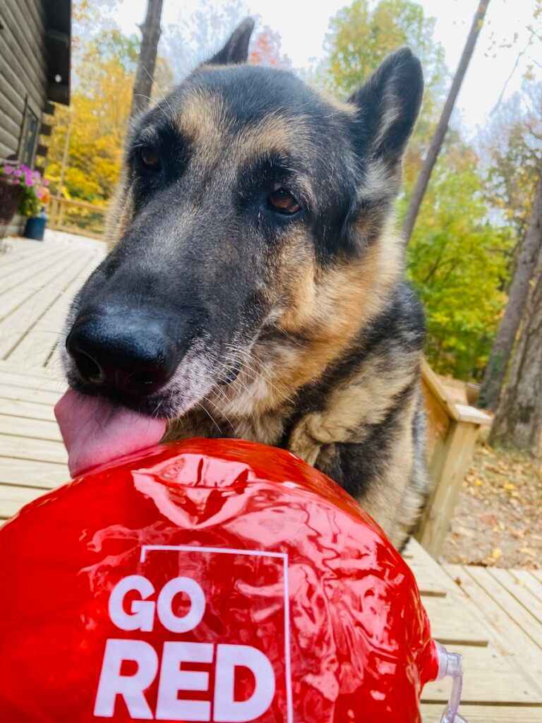 Doggy-goes-red-Image-by-Kelli-Suding-@ksuding-768x1024_34_11zon