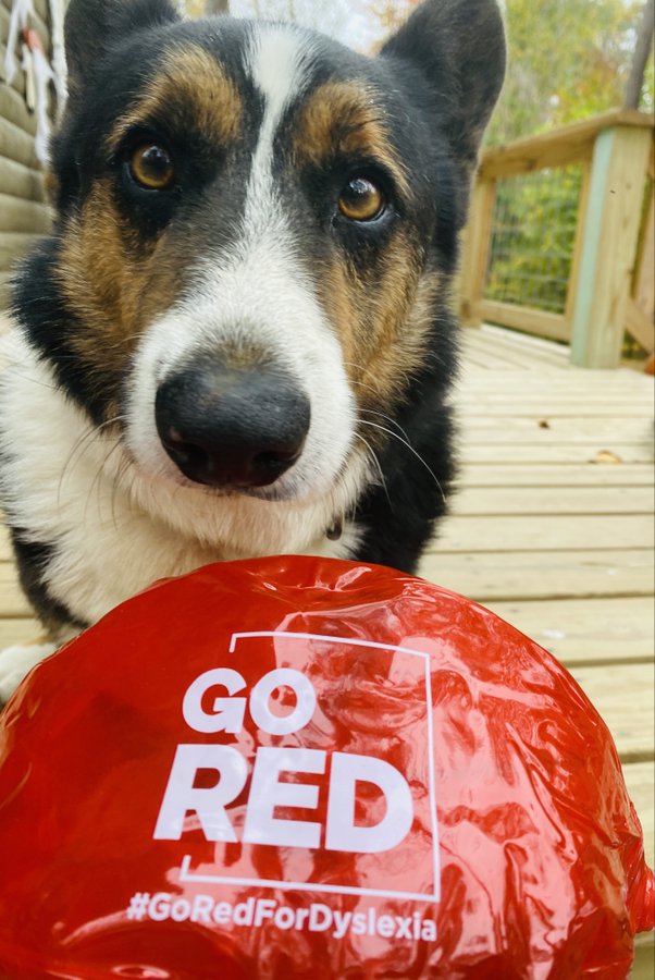 Eli-Image-by-@ksuding