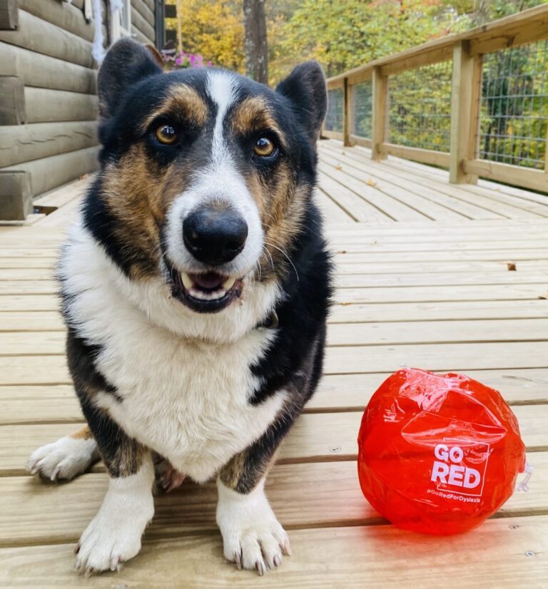 Eli-Image-by-Kelli-Suding-@ksuding-768x826