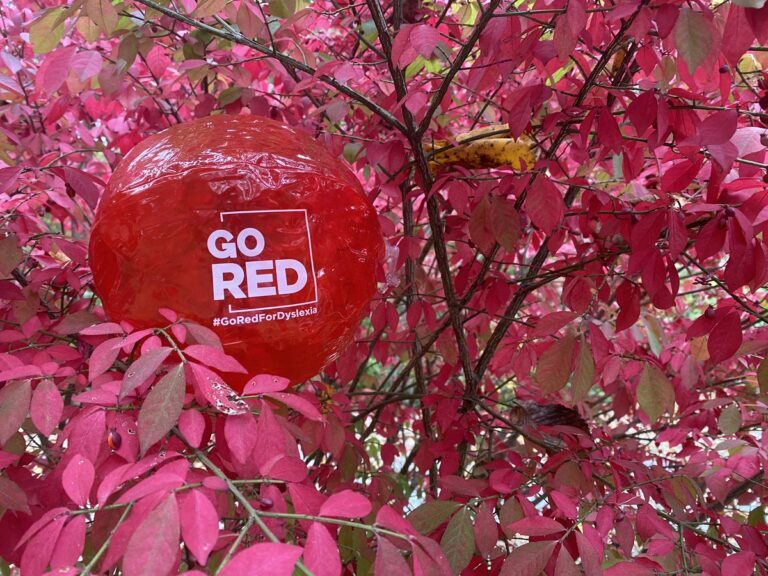 GoRedForDyslexia-Ball-Image-by-Kelli-Suding-@ksuding-768x576