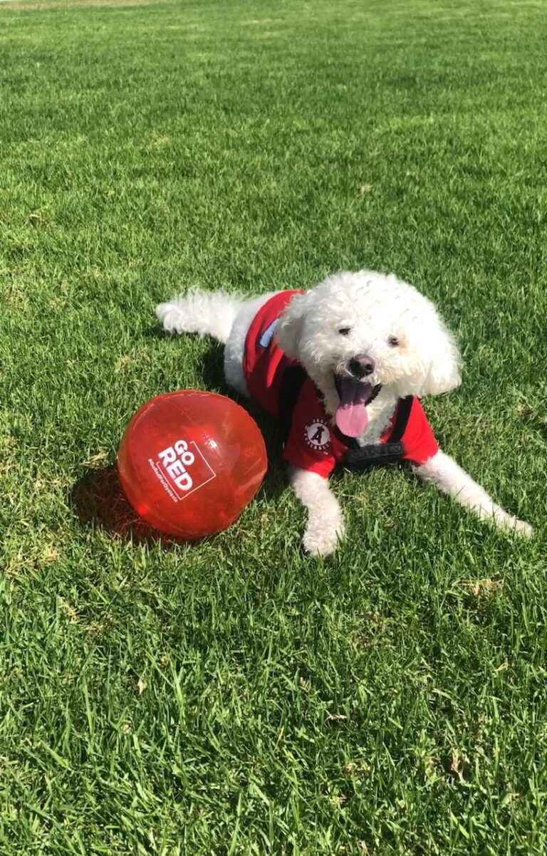 Papa-CA-USA-768x1202_46_11zon