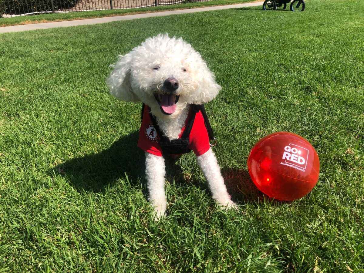 Papa-CA-USA-Image-2-1_47_11zon