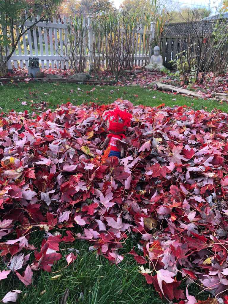 Red-goes-red-for-dyslexia-and-visits-@JudySackville-@DyslexiaRed-Canada-768x1024_49_11zon