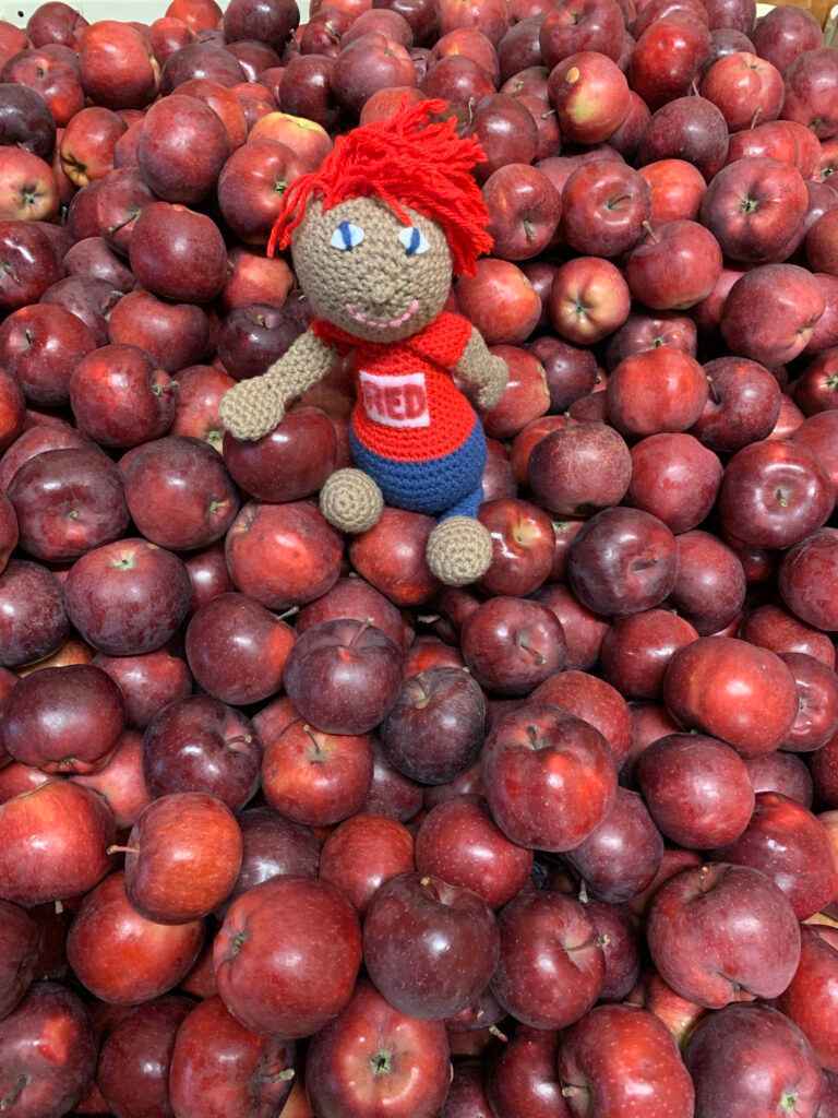 Red-on-apples-GoRedForDyslexia-@DyslexiaRed-Canada-768x1024_51_11zon