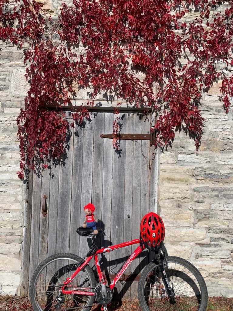 Red-rides-a-bike.-GoRedForDyslexia-@DyslexiaRed-Canada_52_11zon