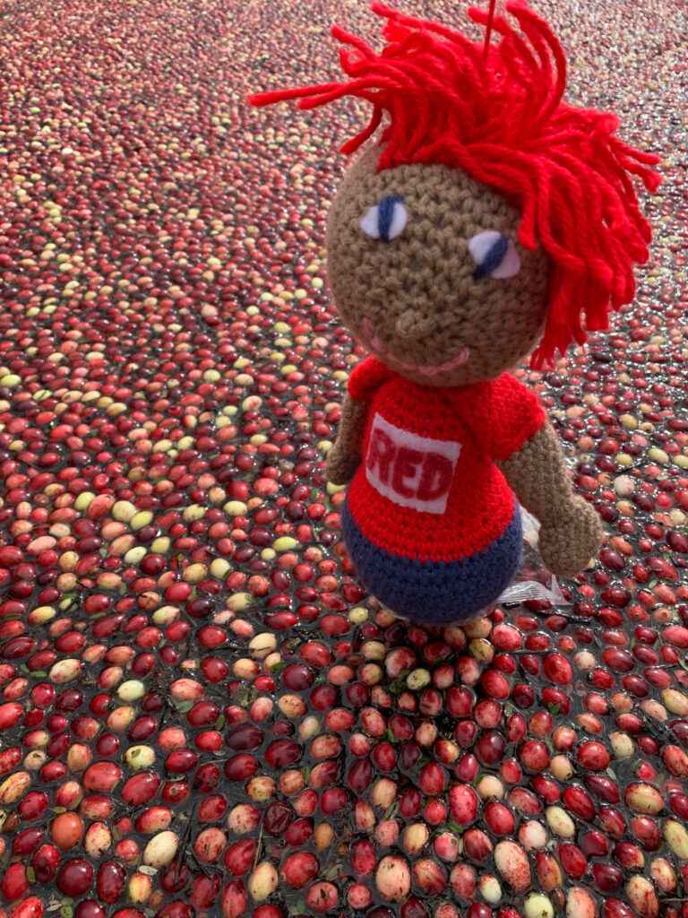 Red-with-cranberries-GoRedForDyslexia-@DyslexiaRed-Canada-768x1024_53_11zon