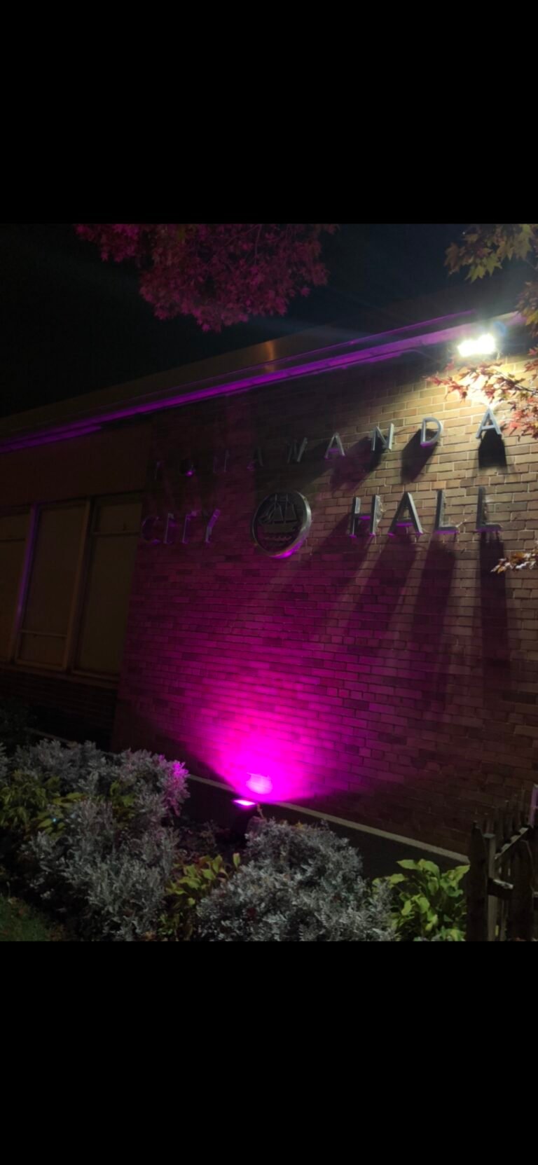 Tonawanda-City-Hall-NY-USA--768x1663