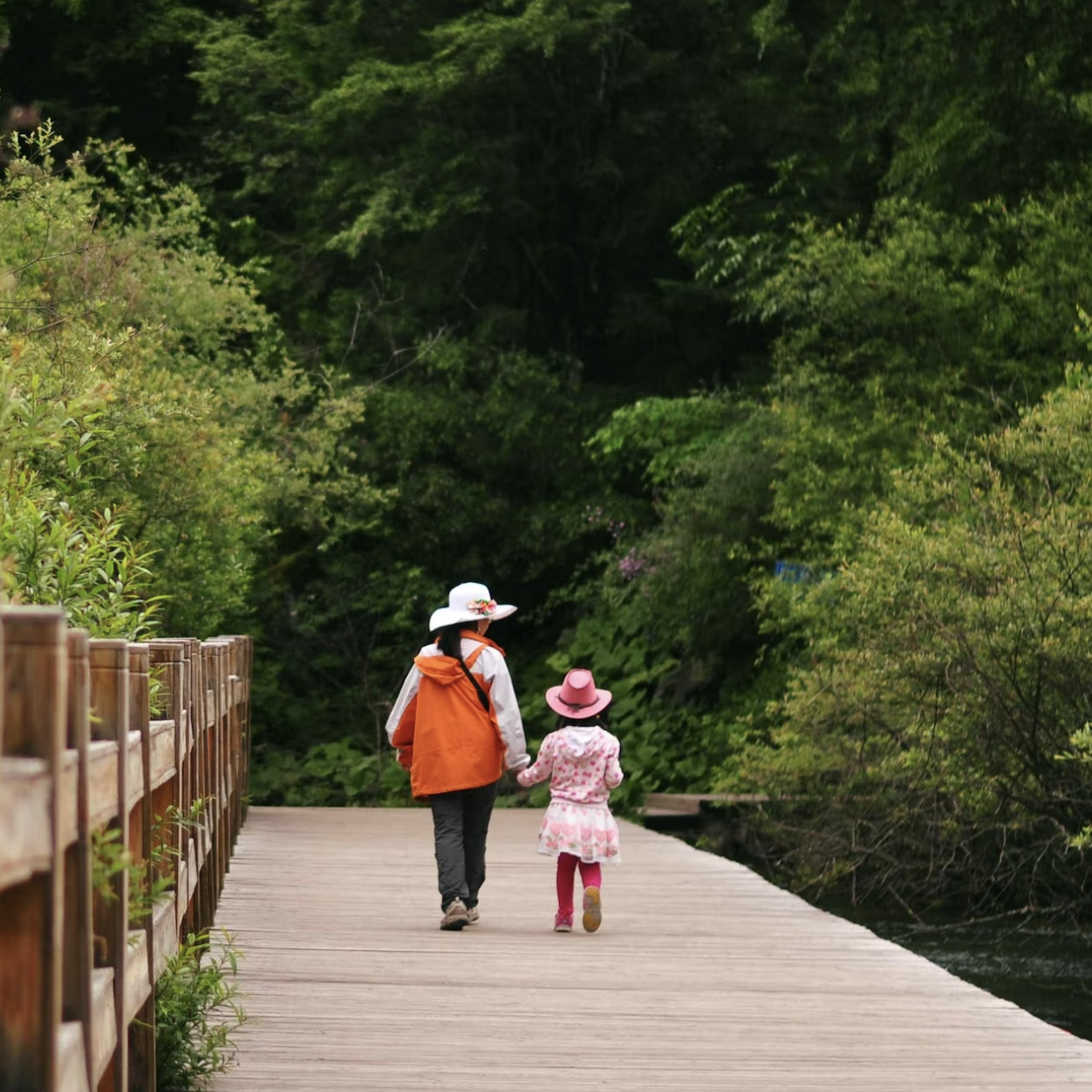 a parent and child holding hands walking along a rural road 