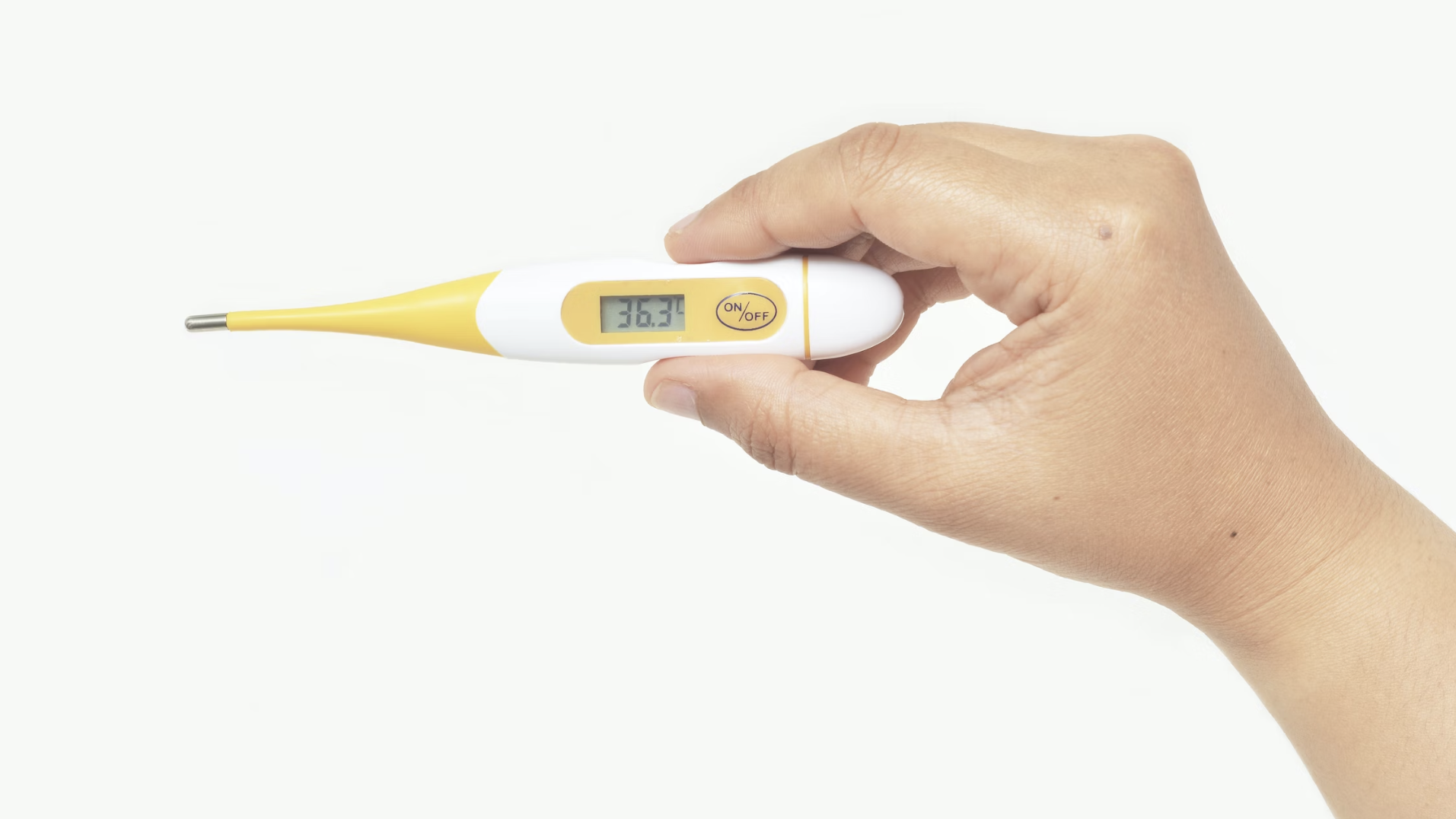 a hand holding a digital thermometer 