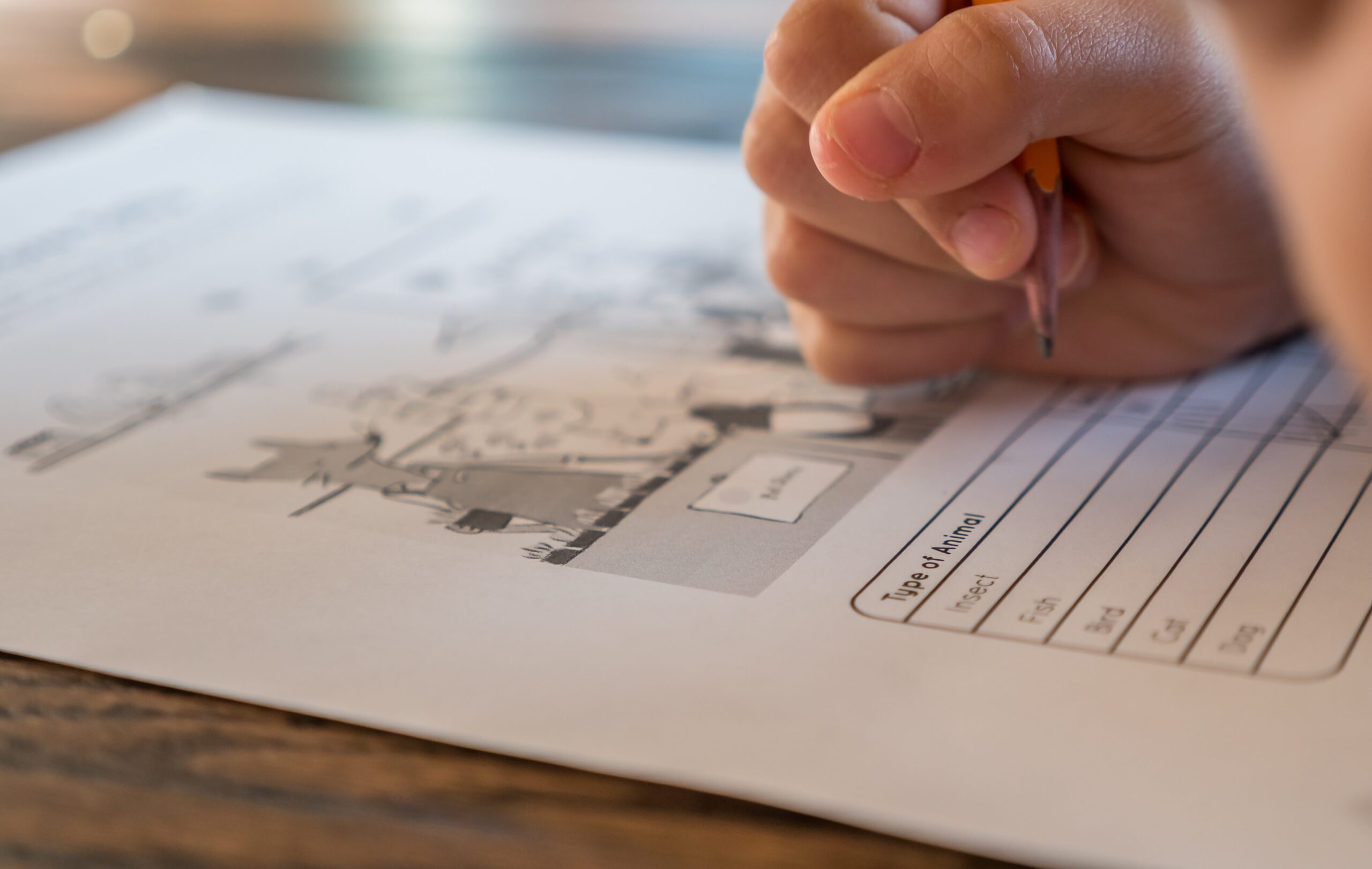 a child's hand holding a pencil over a worksheet