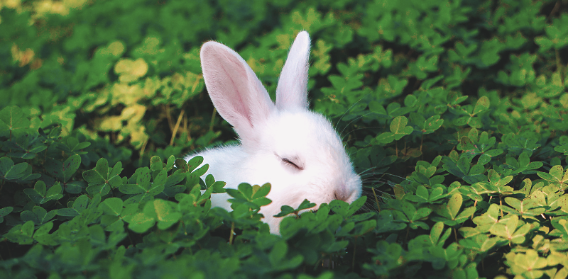 5 Ways to Keep Kids Reading Over Easter