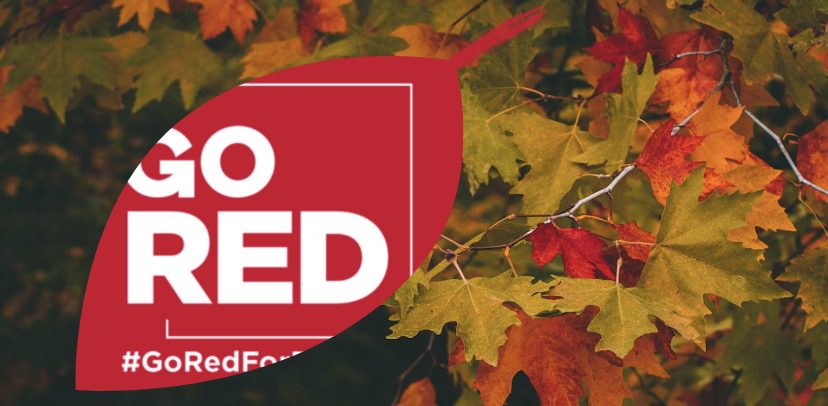 Get Ready to Go Red for Dyslexia this October