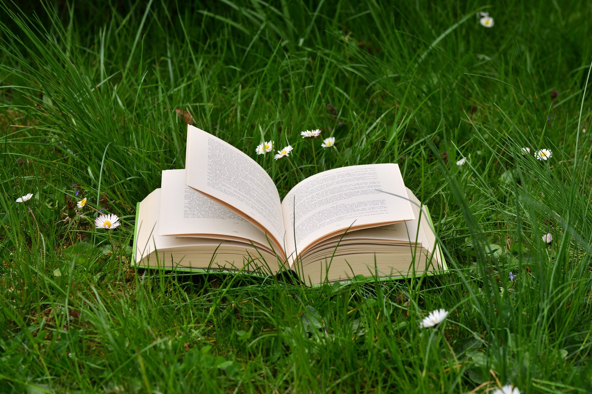 Support and Sustainability for Read a New Book Month