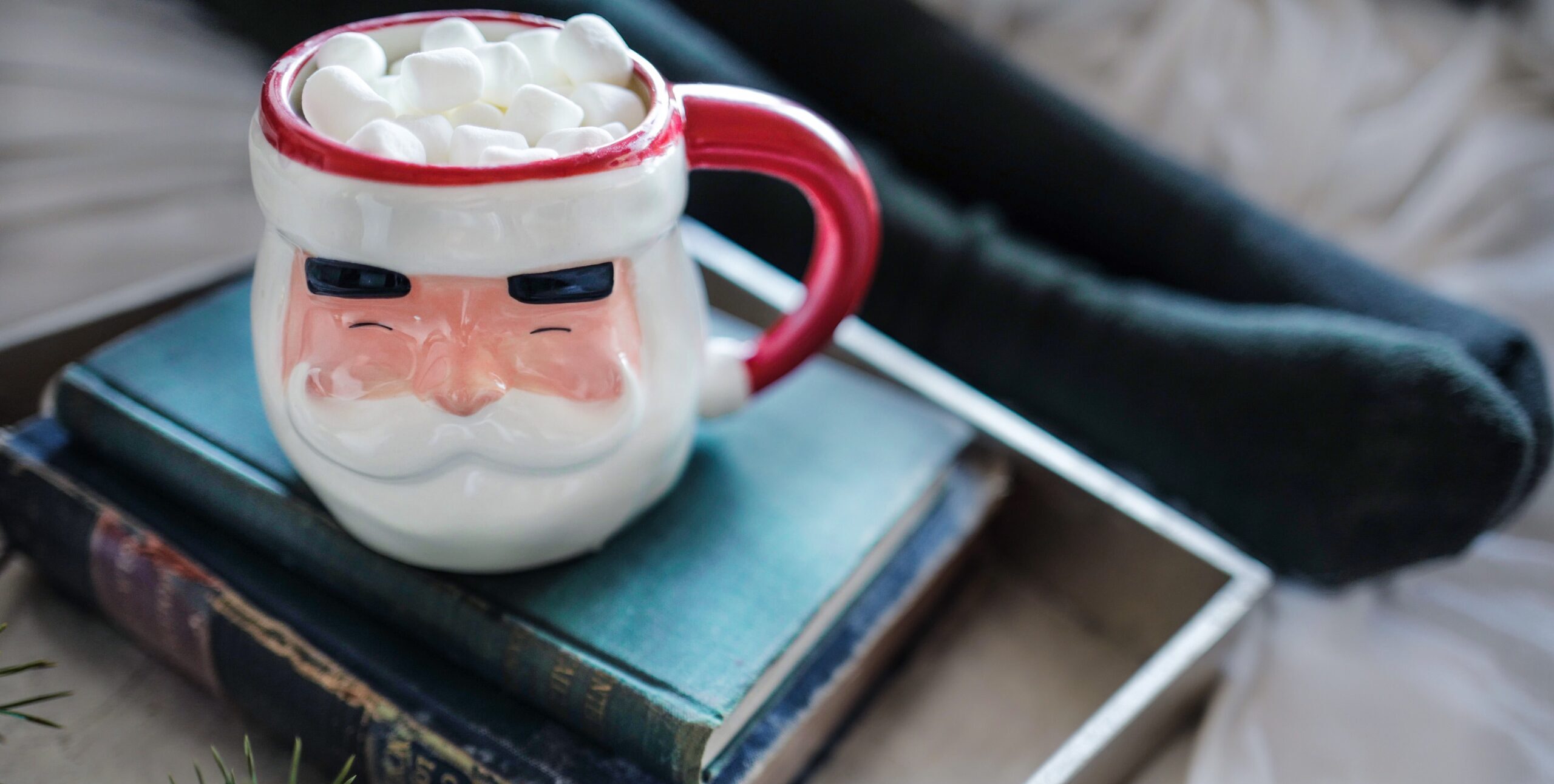 The Christmas Books We Love