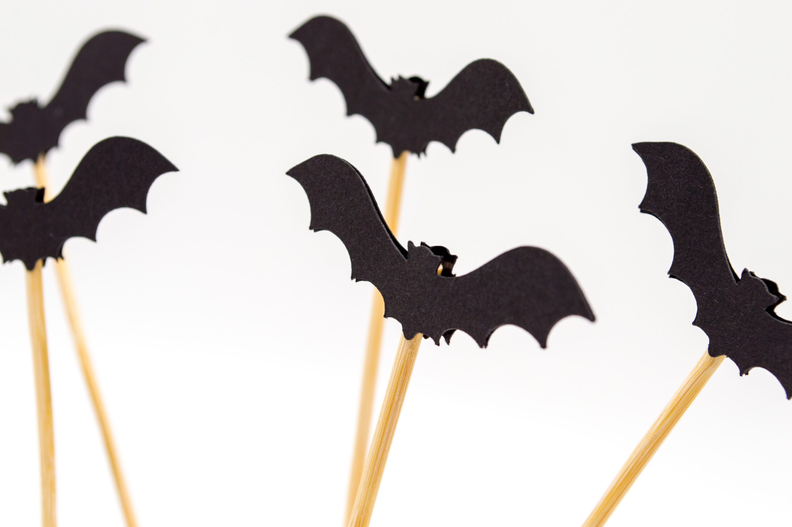5 Halloween Crafts You'll Love This Spooky Season
