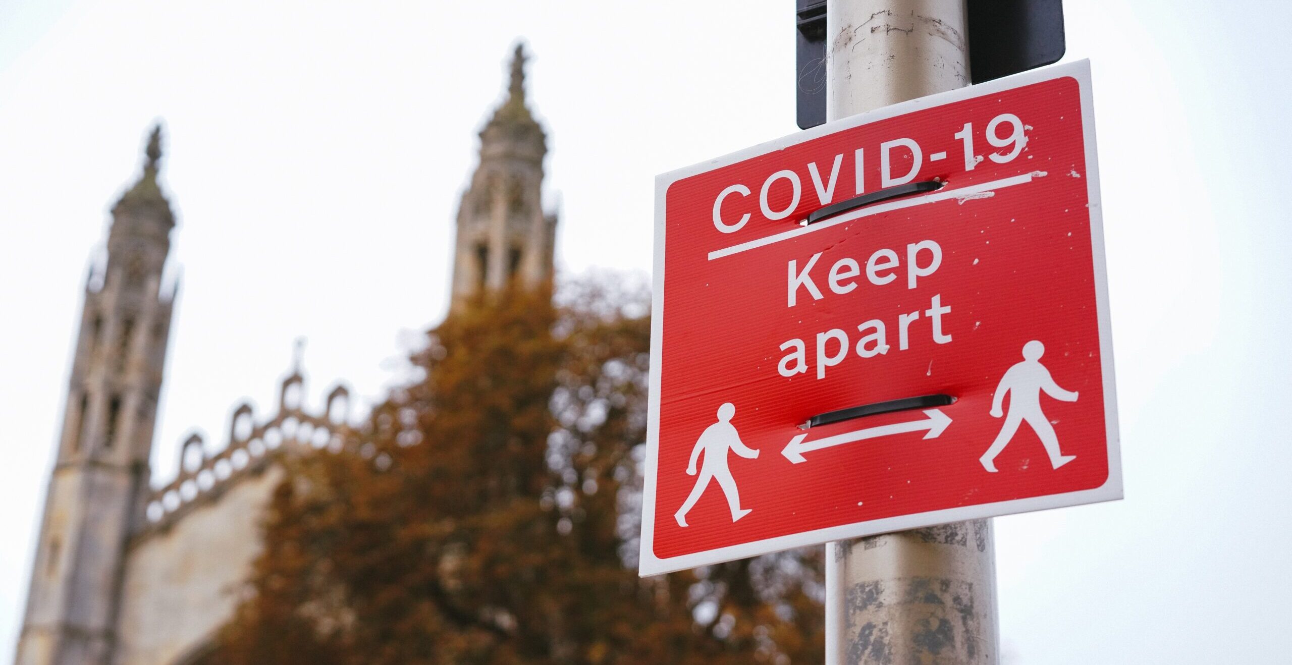 Can Neurodiversity Implement a Faster Covid-19 Business Recovery?