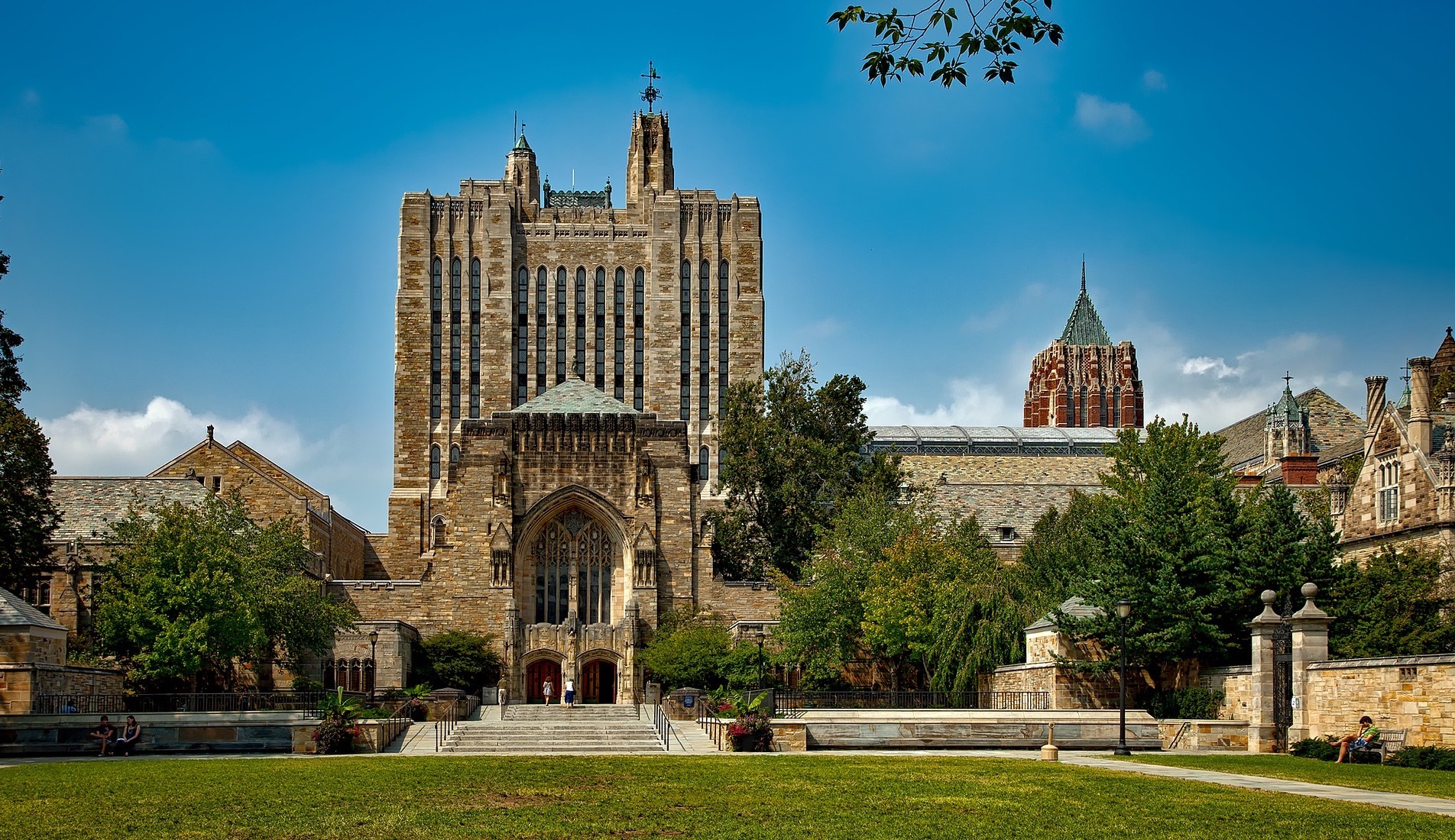 “It Taught Me to Take Advantage of What I’m Good At”: Yale Students on Dyslexia